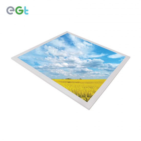 LED Sky Panel Light